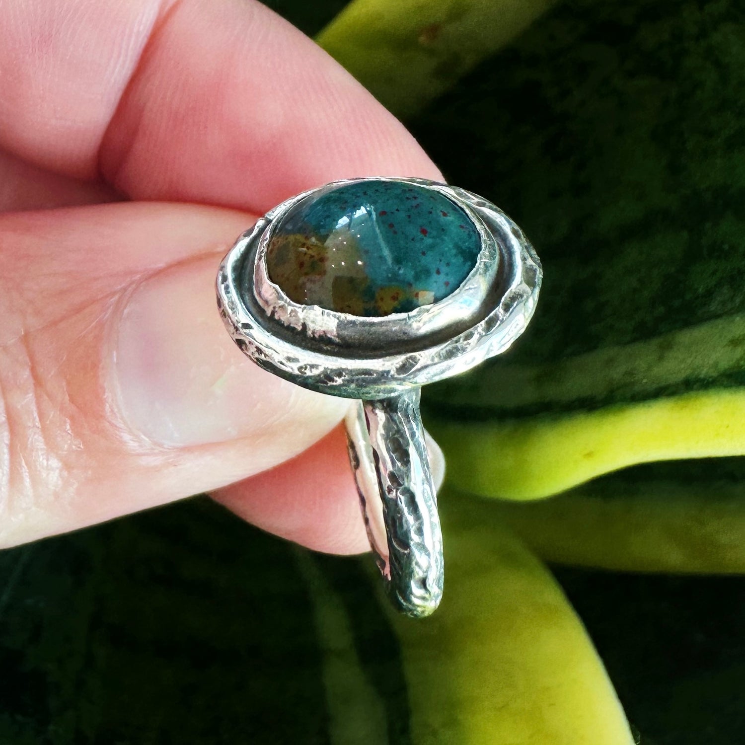 Enchanted Grove Collection