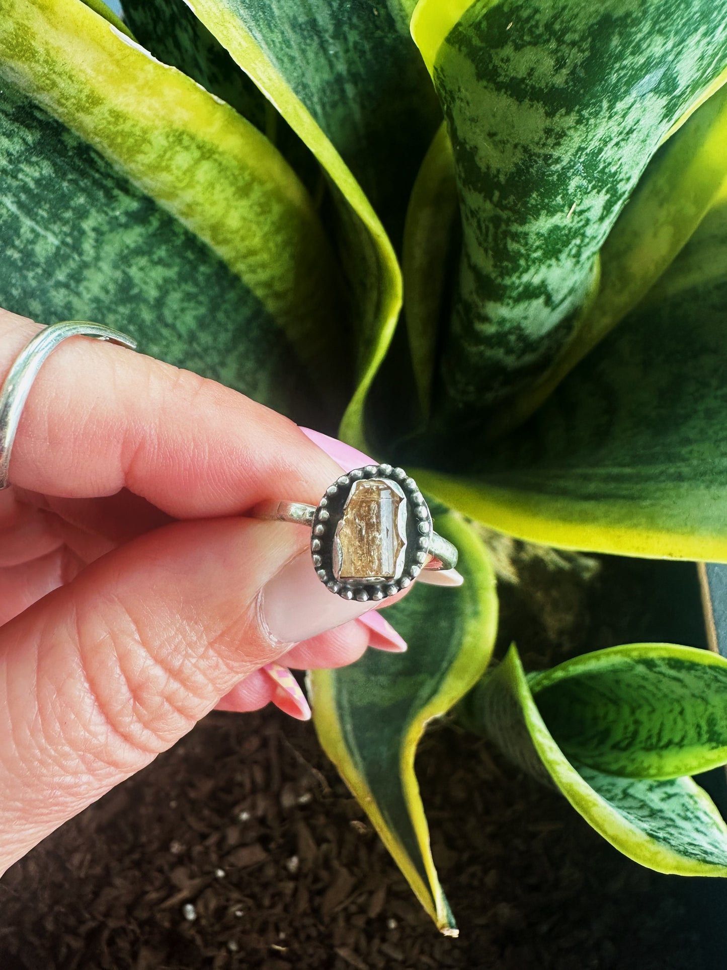 Golden Apatite Ring - Argentium Silver .940 - Size 7