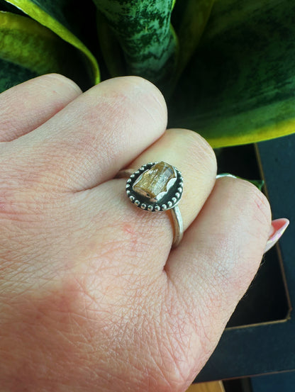 Golden Apatite Ring - Argentium Silver .940 - Size 7